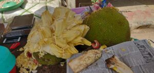 Jack Fruit at Mutanga 